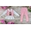 Conjunto Labubu para niñas - Imagen 1