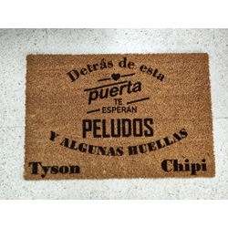 Felpudo mascotas - Imagen 1