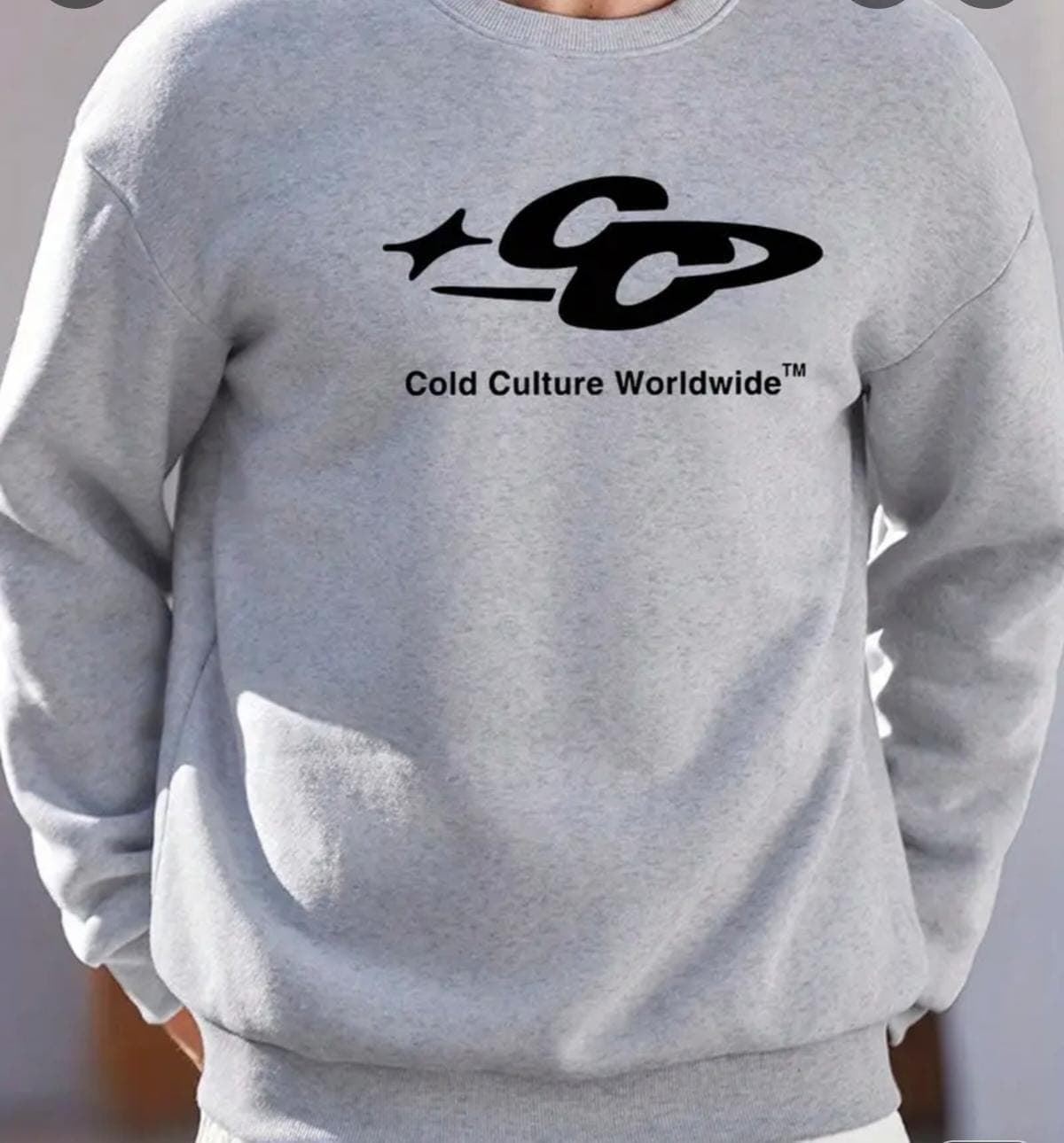 Sudadera Cold culture gris - Imagen 1