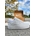 Zapatillas Force LV blanca - Imagen 1